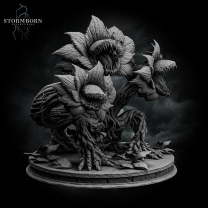 Hydra Bloom