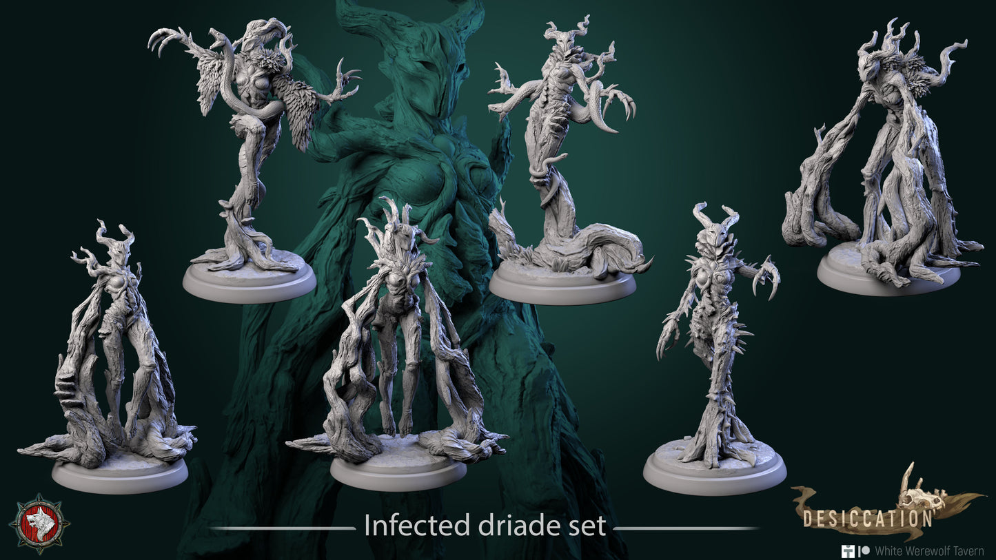 Infected Driade Set | Desiccation | White Werewolf Tavern