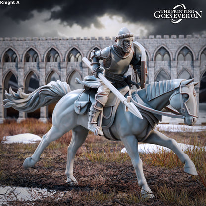Northern Kingdom Cavalry | Tales of the Northern Kingdom | MESBG | The Printing Goes Ever On
