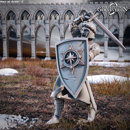 Men at Arms / Warriors of the North | Tales of the Northern Kingdom | MESBG | The Printing Goes Ever On