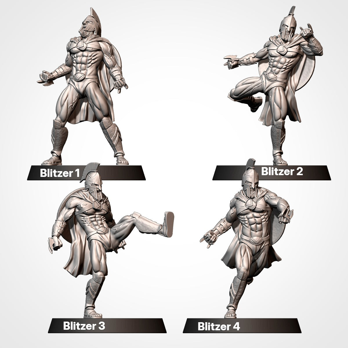 Spartans Team