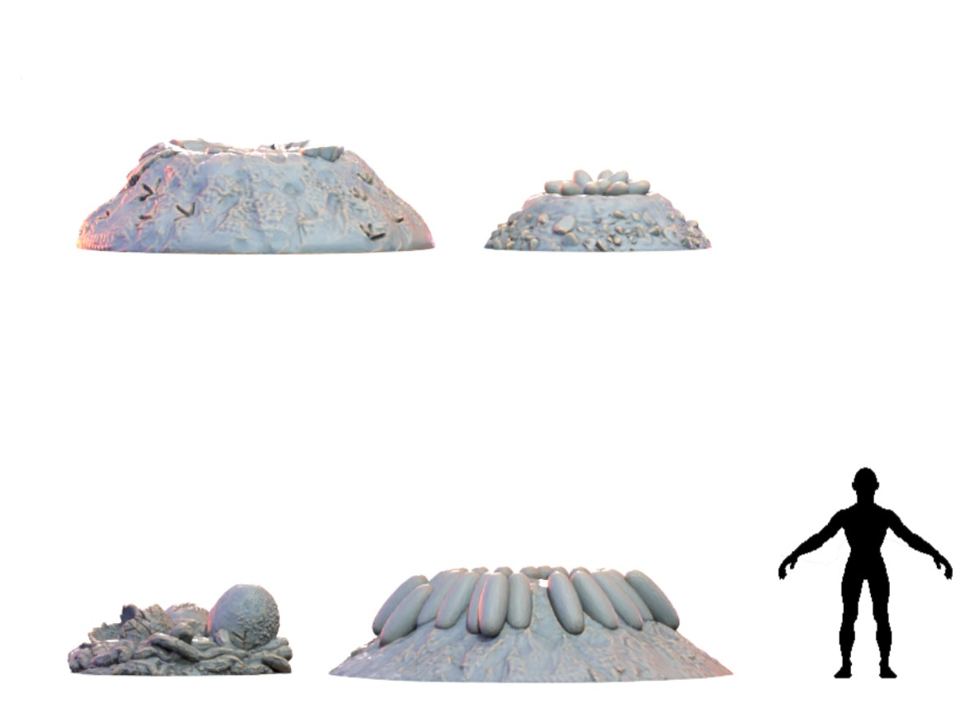 Nests