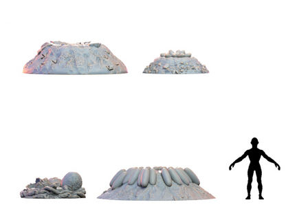 Nests