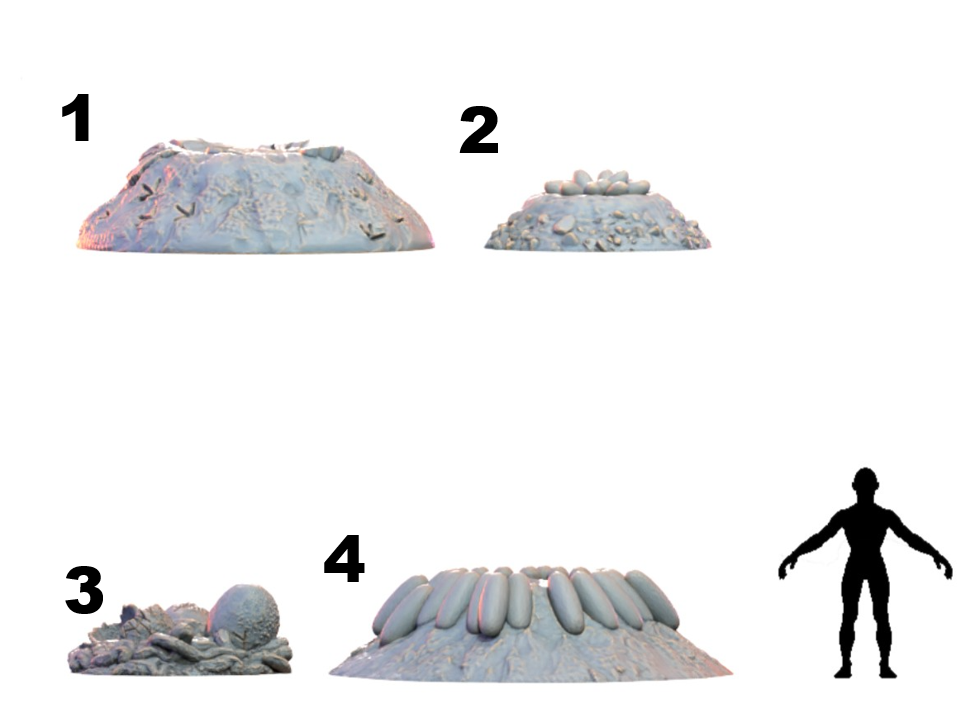 Nests