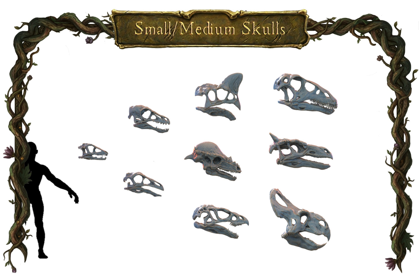 Small Skulls