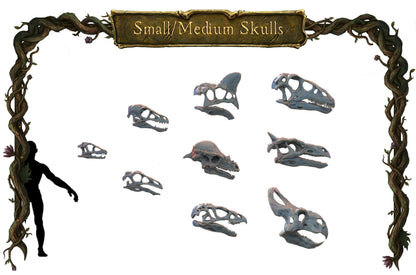 Small Skulls