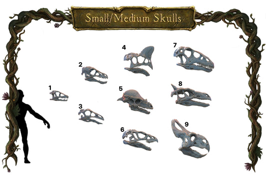 Small Skulls