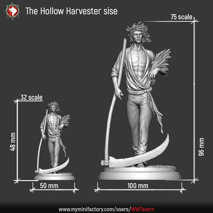 The Hollow Harvester size chart: 32mm scale is 48mm tall on a 50mm base, 75mm scale is 96mm tall on a 100mm base.