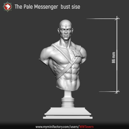 Render of The Pale Messenger Bust, Bare Head | Dark Fantasy Display Bust: A bare-headed display bust of the Pale Messenger from White Werewolf's Sisters of the Apocalypse. Dark-fantasy 3D printed resin display bust.