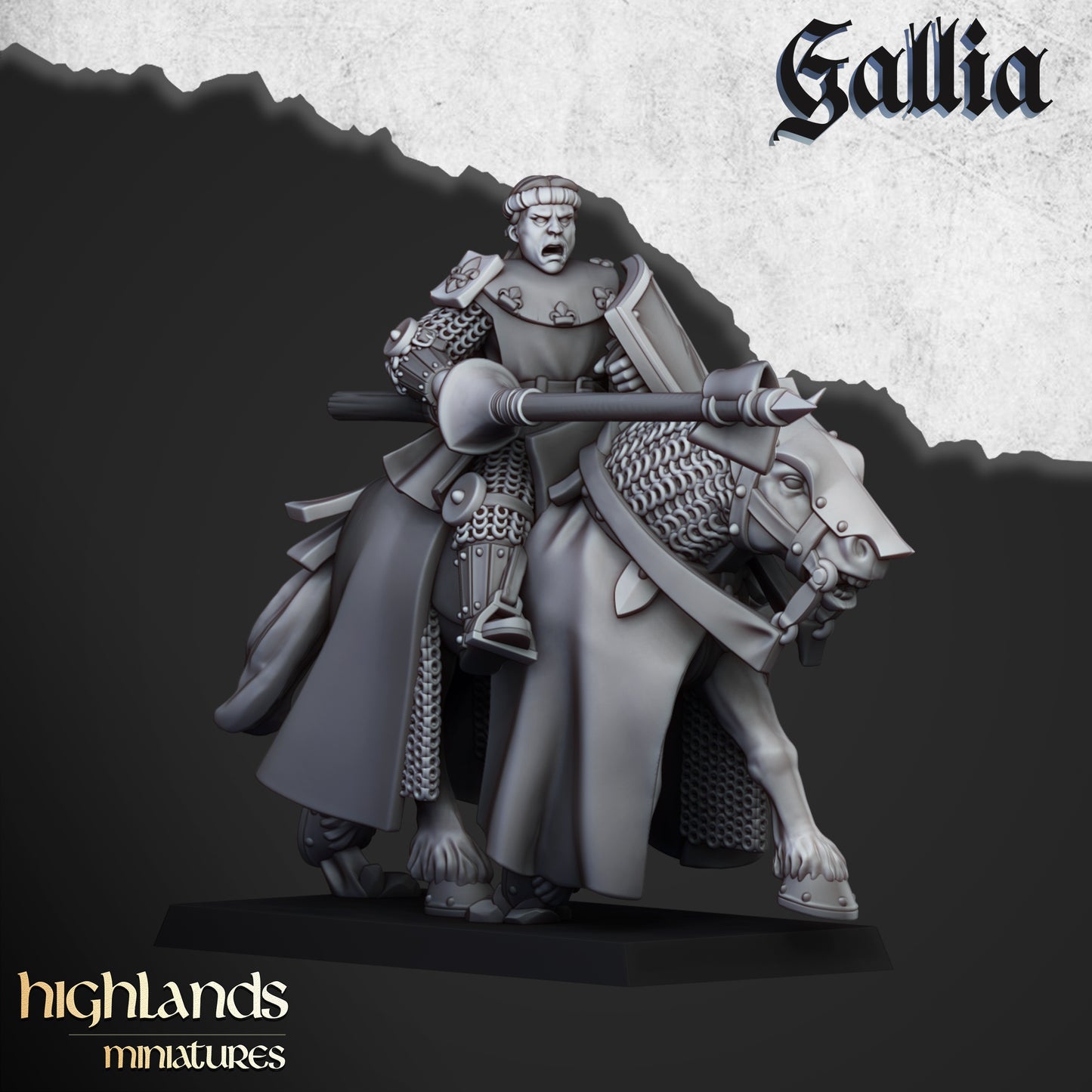 Young Knights of Gallia | Gallia, the Medieval Kingdom | Highlands Miniatures