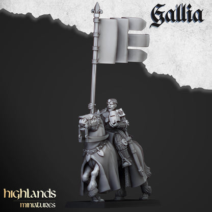 Young Knights of Gallia | Gallia, the Medieval Kingdom | Highlands Miniatures