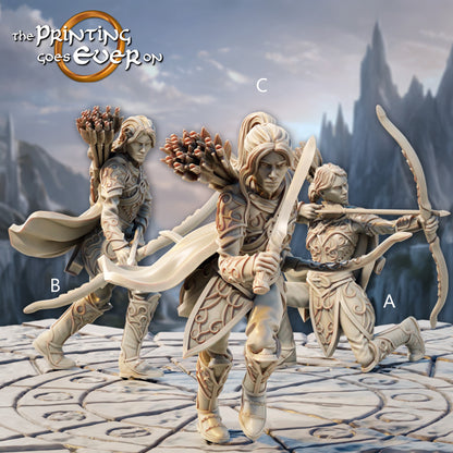 Elven Coastal Rangers | Silver Shores | MESBG | The Printing Goes Ever On