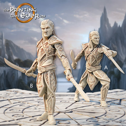 Elven Duelists | Silver Shores | MESBG | The Printing Goes Ever On