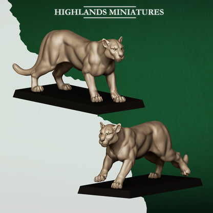 Feral cougars, wood elf great cats, 32mm resin by Highlands Miniatures