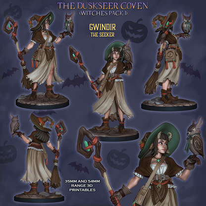 Gwindir the Seeker, colour views front, back and close-up with Braxas the owl, Duskseer Coven witches pack 1, designer render by Ronin Arts Workshop.