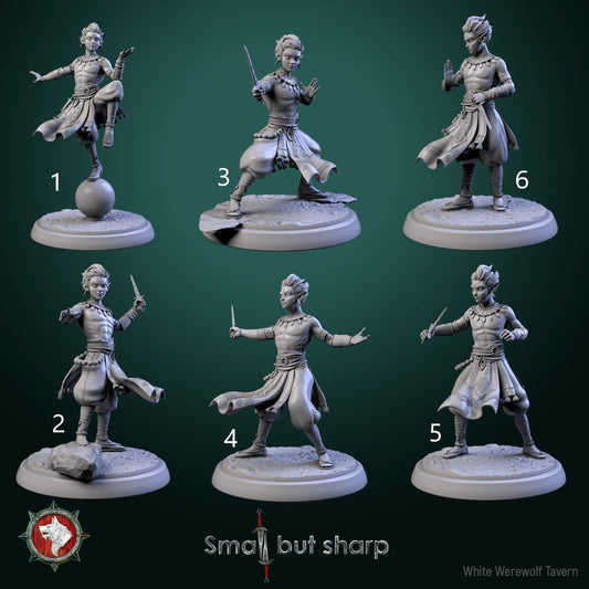 Halfling Monks Set | Small But Sharp | White Werewolf Tavern