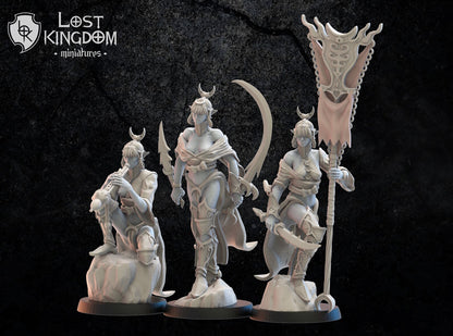 Onna Bugeisha Command Group | Night Elves / Dark Elves | Lost Kingdom Miniatures | Tabletop Gaming | Pathfinder