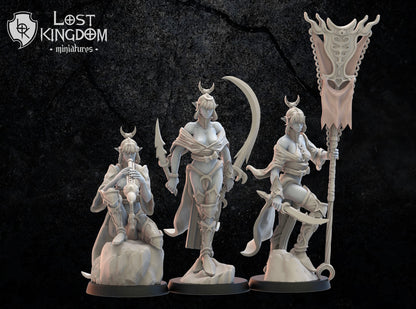 Onna Bugeisha Command Group | Night Elves / Dark Elves | Lost Kingdom Miniatures | Tabletop Gaming | Pathfinder