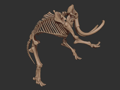Skeletal Wooly Mammoth | 3 Poses | Extinct Animals | Limelight Miniatures