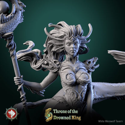 Render of Morwenna Lost Maiden | 32-75mm Swamp Rider Miniature: Swamp maiden riding a giant catfish with fish-totem staff, from White Werewolf's Throne of the Drowned King. 32-75mm 3D printed resin miniature.