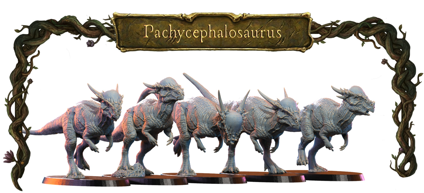 Pachycephalosaurus