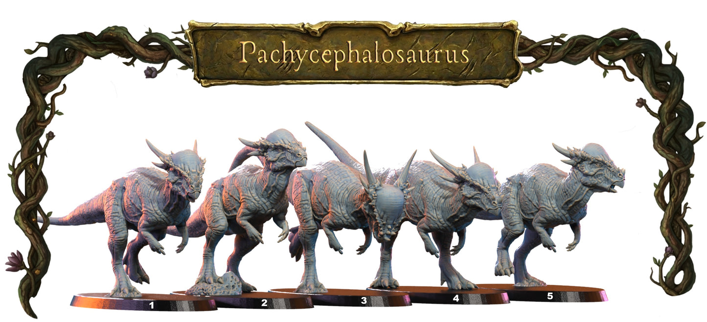Pachycephalosaurus