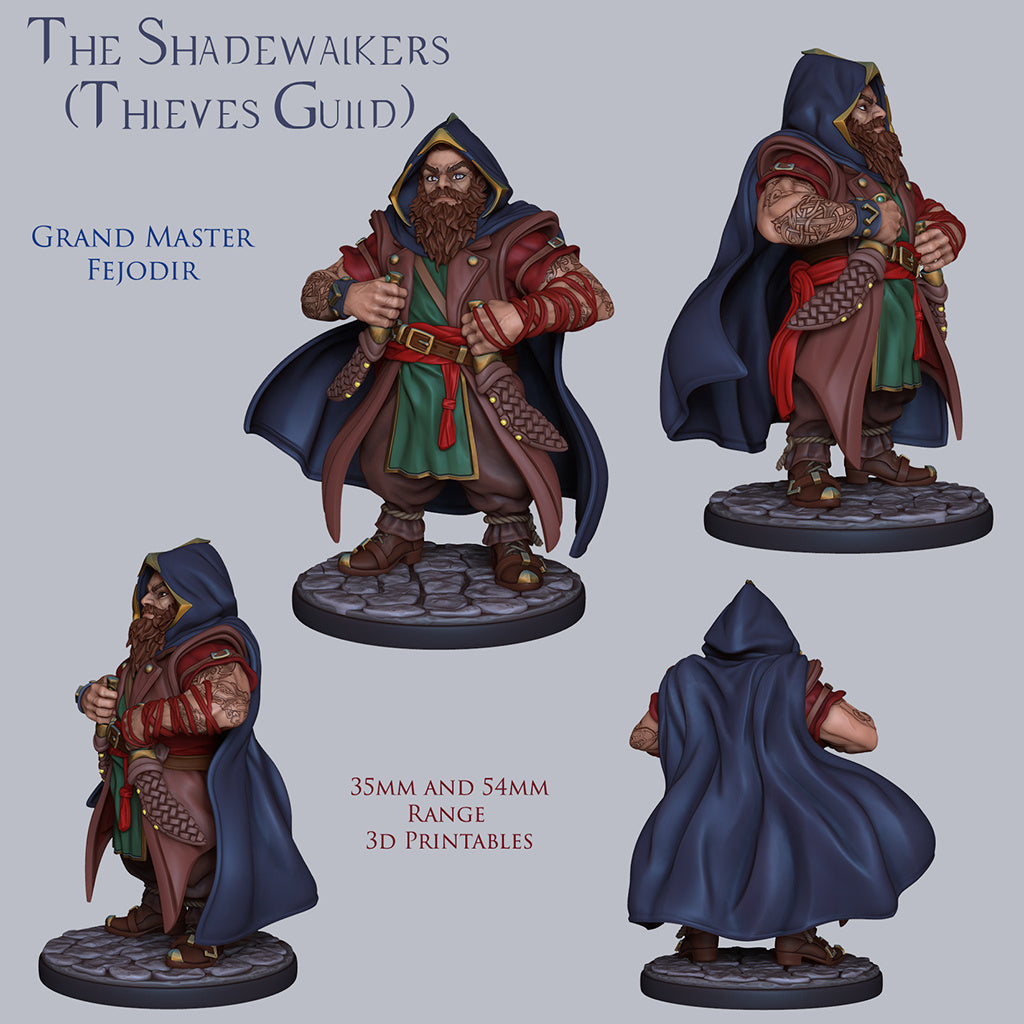 Grand Master Fejodir | The Shadewalkers | 28mm-120mm Scale | Resin 3D Printed Miniature | Ronin Arts Workshop