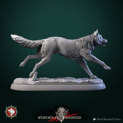 Wolves | Resin 3D Printed Miniature | White Werewolf Tavern