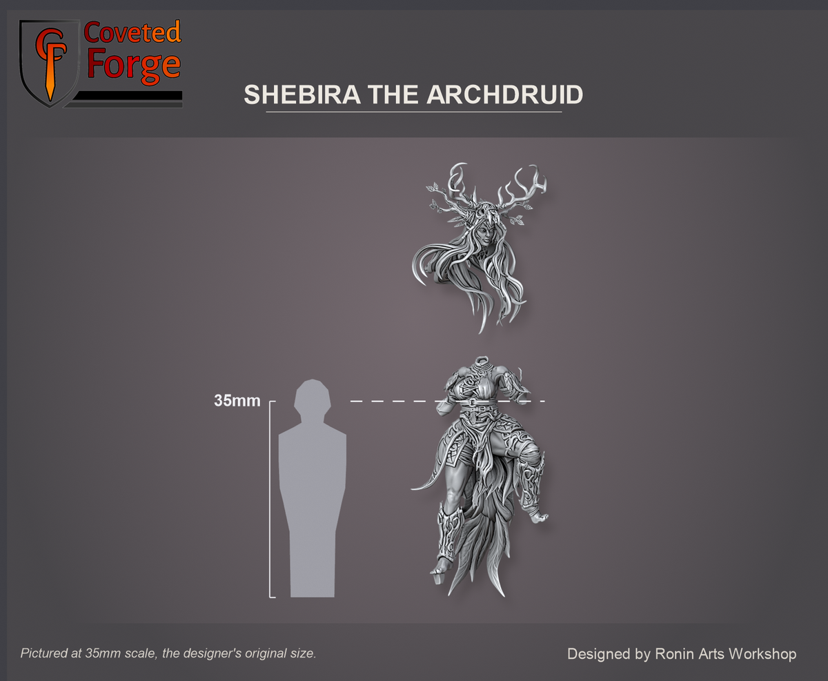 Coveted Forge scale reference: Shebira the Archdruid's body at 35mm scale, front view, with her separate antlered head floated just above it, beside a 35mm human silhouette; also offered at 54mm