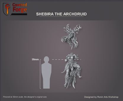 Coveted Forge scale reference: Shebira the Archdruid's body at 35mm scale, front view, with her separate antlered head floated just above it, beside a 35mm human silhouette; also offered at 54mm