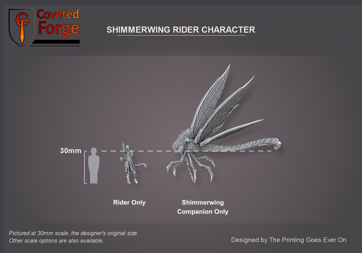 Coveted Forge scale reference: the Shimmerwing Rider Character standing on the ground beside his shimmerwing companion, each in its own labelled column (Rider Only, Shimmerwing Companion Only) next to a 30mm human silhouette, side three-quarter view; the hero is a foot character with a companion, not a rider, so the two are shown side by side; a 28mm downscale is also available; the curved flight stand is printed separately and not shown