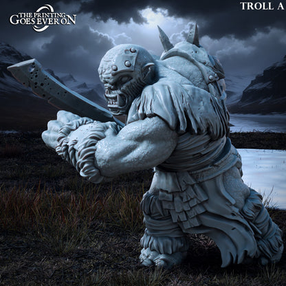Ironmoor Trolls | Tales of the Northern Kingdom (Forces of Evil) | MESBG | The Printing Goes Ever On