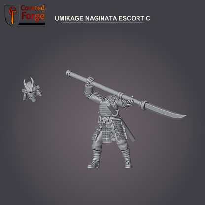 Umikage Escort C, naginata, with separate head bit
