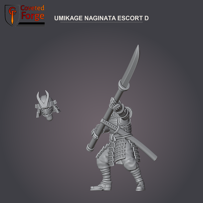 Umikage Escort D, naginata, with separate head bit