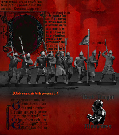Polish Sergeants on Foot - Black Knight Miniatures