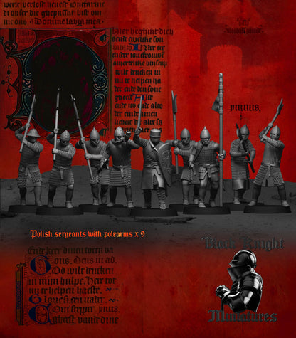 Polish Sergeants on Foot - Black Knight Miniatures