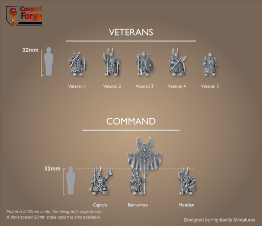 Dwarf Veterans scale lineup with command, models assembled with weapons and shields, 32mm human and bracket