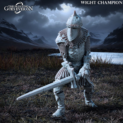 Barrow Wights | Tales of the Northern Kingdom (Forces of Evil) | MESBG | The Printing Goes Ever On