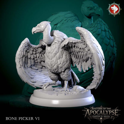 Bone Picker 1 - hooked-beak carrion bird standing with both wings spread wide over rubble