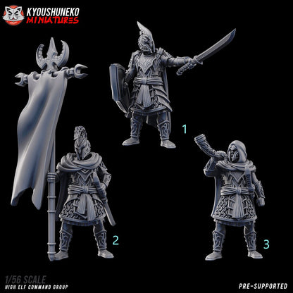 High Elf Command Group | Resin 3D Printed Miniatures | Kyoushuneko | Table Top Gaming | RPG | D&D | Pathfinder