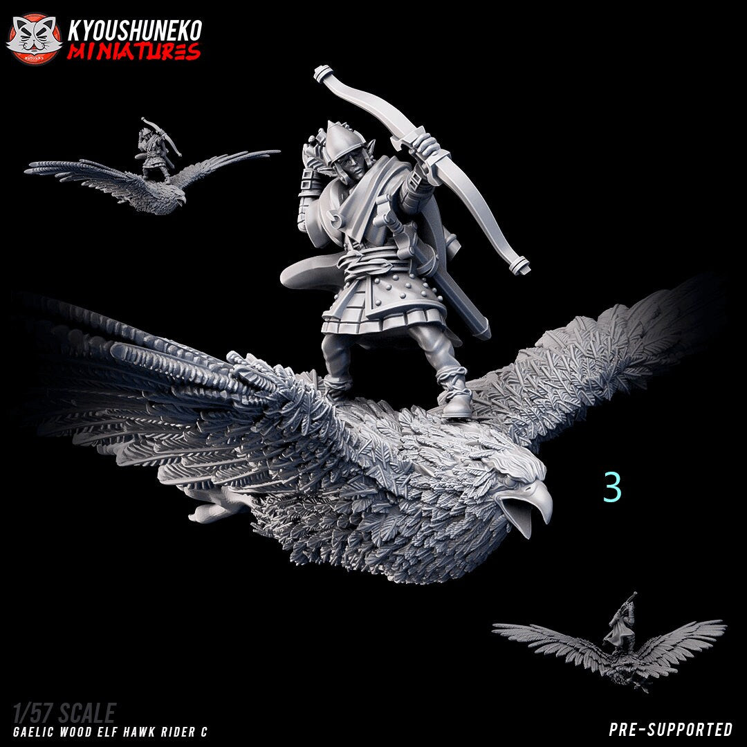 Hawk Riders  (Gaelic Wood Elves) | Resin 3D Printed Miniatures | Kyoushuneko | Table Top Gaming | RPG | D&D | Pathfinder