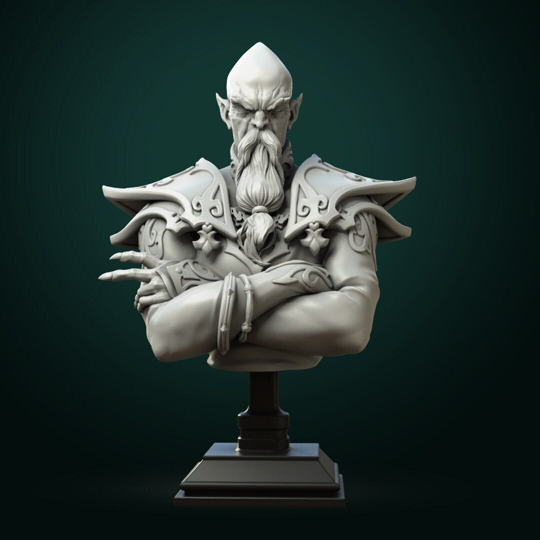 Zondar Valis Archmage | Bust | Resin 3D Printed Miniature | White Werewolf Tavern