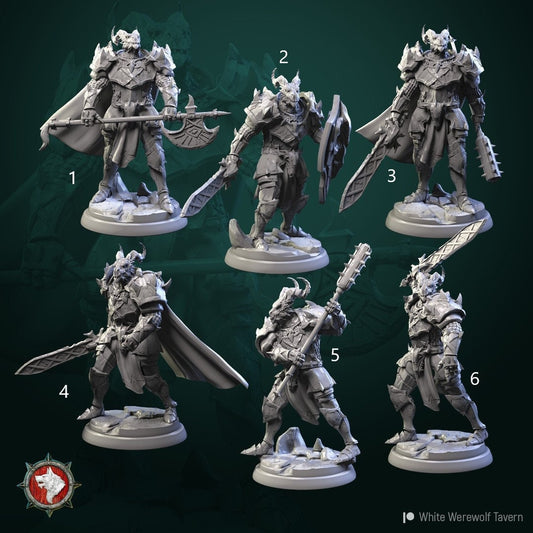 Dragonborn Knights | Resin 3D Printed Miniature | White Werewolf Tavern