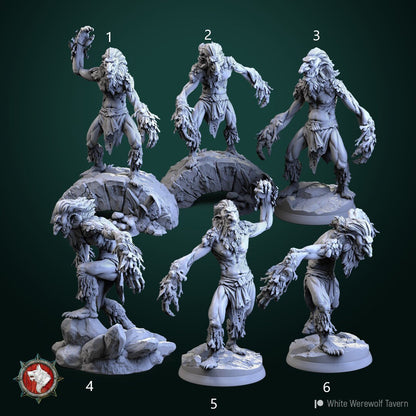 Trolls | Resin 3D Printed Miniature | White Werewolf Tavern
