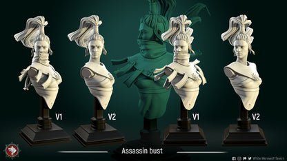 Cult Assassin | Bust | Resin 3D Printed Miniature | White Werewolf Tavern