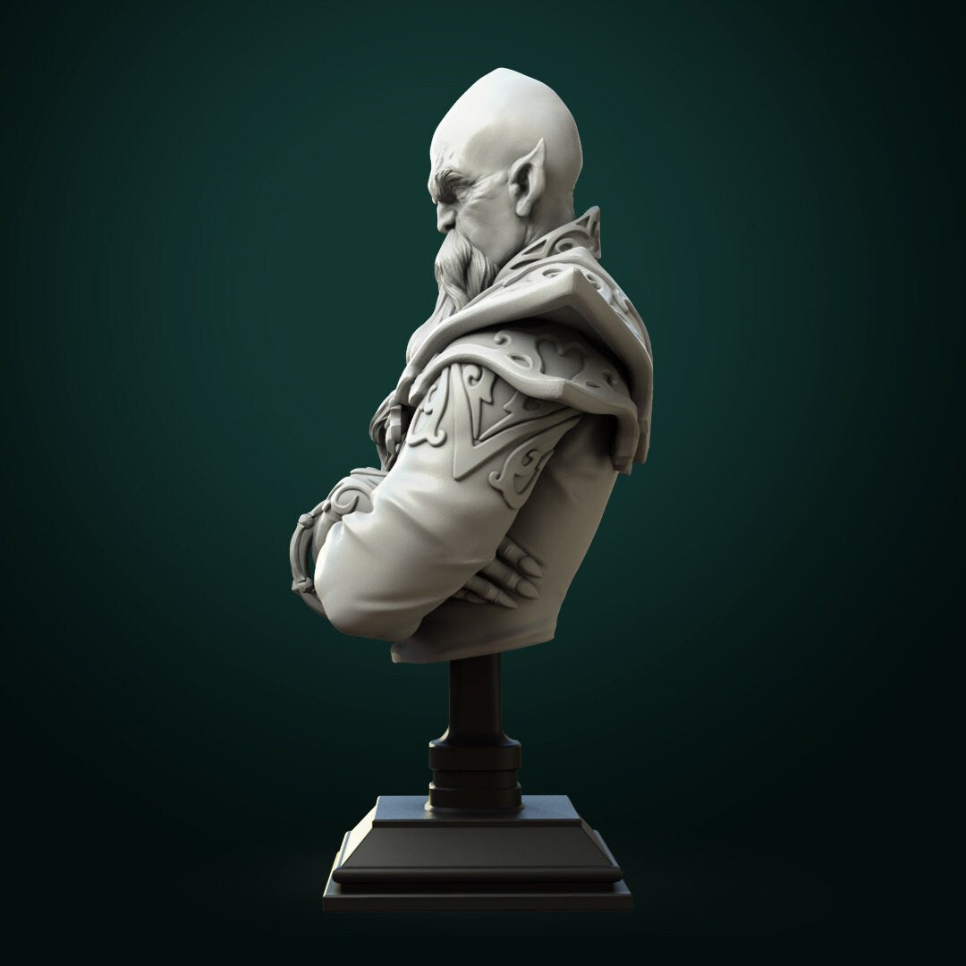 Zondar Valis Archmage | Bust | Resin 3D Printed Miniature | White Werewolf Tavern