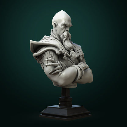 Zondar Valis Archmage | Bust | Resin 3D Printed Miniature | White Werewolf Tavern