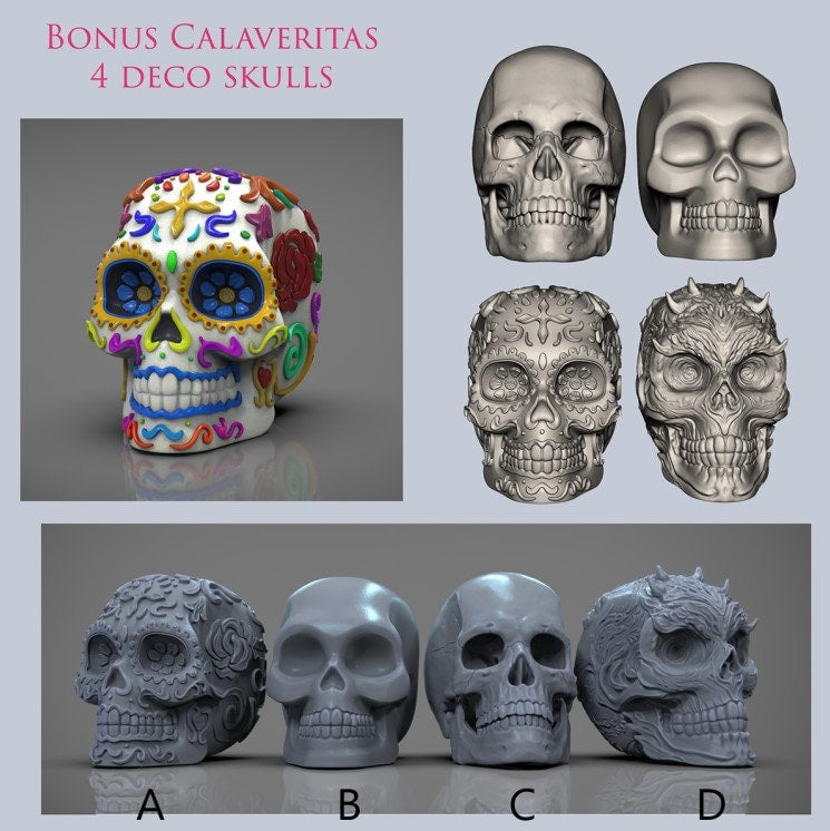 Calavera | Decorative Skull | Day of the Dead | Ready to Paint | Resin 3D Printed | Hand Painted |