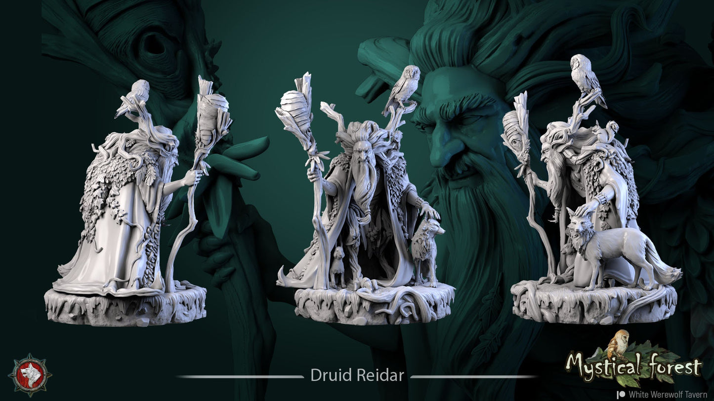 Druid Reidar | Multiple Scales | Resin 3D Printed Miniature | White Werewolf Tavern | RPG | D&D | DnD