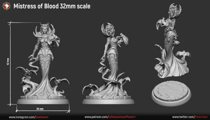 Mistress Of Blood | Multiple Scales | Resin 3D Printed Miniature | White Werewolf Tavern | RPG | D&D | DnD